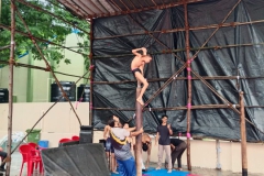 Image1